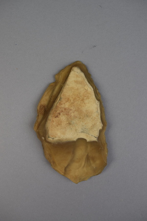 E11503