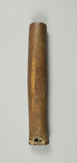 NA793.1