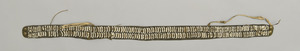 NA1540.1