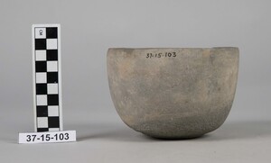 37-15-103
