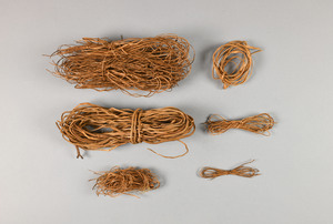 CG231288-2450C