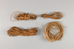 CG231288-2450D