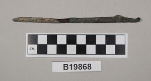 B19868