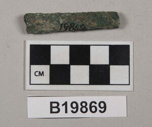 B19869
