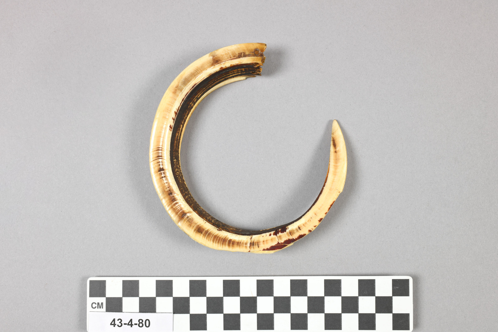 1034663