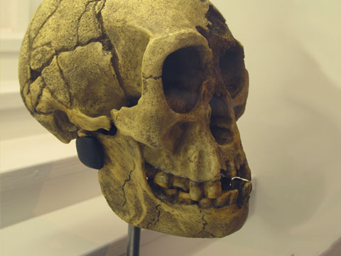 Great Beasts of Legend: The Hobbits of Flores Island:  Myth, Magic, Majesty of Homo floresiensis thumbnail.