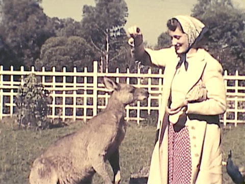 Reel No. 6: Oceania (1940) thumbnail.