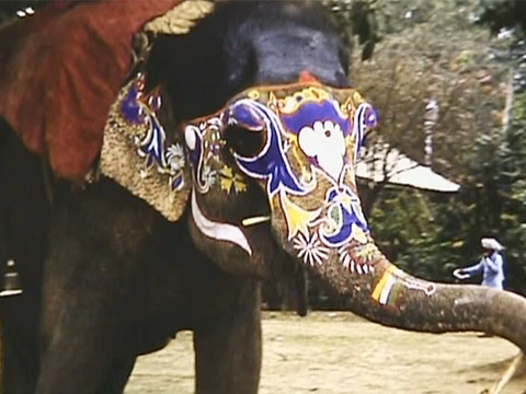 India 1959 Reel 7 of 31 thumbnail.