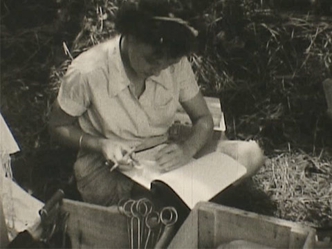 1940 Hudson Valley Dig thumbnail.