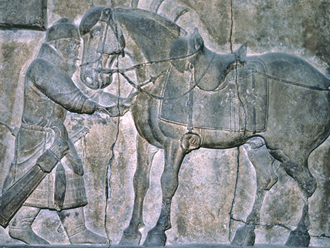 Secrets of the Silk Road: Tang Taizong's Noble Steeds thumbnail.