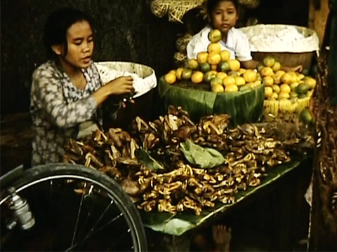 Java 1955 Reel 5 of 24 thumbnail.