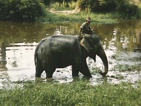 Cambodia 1957 Reel 24 of 44 thumbnail.