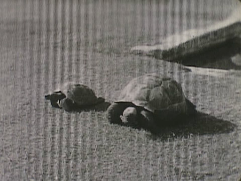 A Glimpse of the Saguenay 1934 thumbnail.