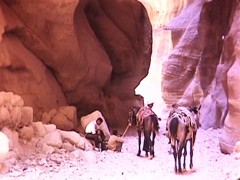 Jordan 1969 Reel 39 of 65 thumbnail.