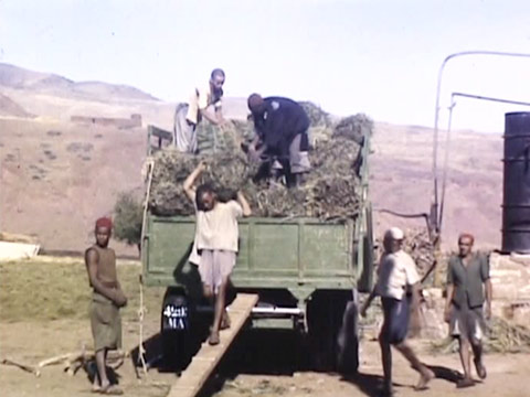 French Morocco 1951 Reel 5 of 10 thumbnail.