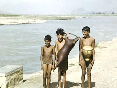 Pakistan 1953 Reel 9 of 10 thumbnail.