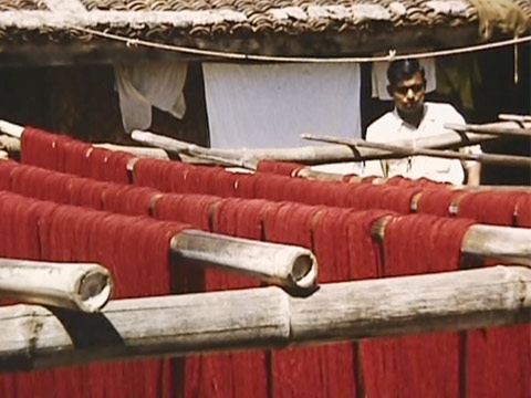 India 1959 Reel 19 of 31 thumbnail.