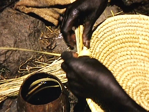 Ethiopia 1969 Reel 3 of 65 thumbnail.
