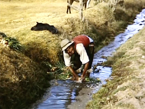 Peru 1950 Reel 4 of 9 thumbnail.