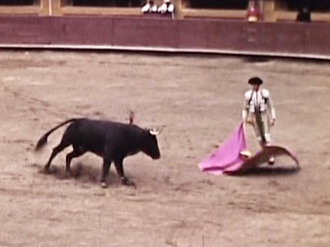 Mexico 1939 Reel 1 of 6 thumbnail.