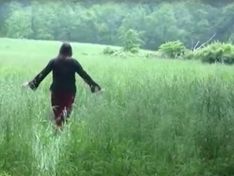 Fulfilling a Prophecy: The Past and Present of the Lenape in Pennsylvania thumbnail.