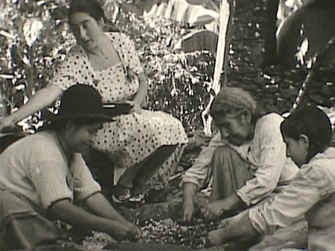 1936 South America thumbnail.
