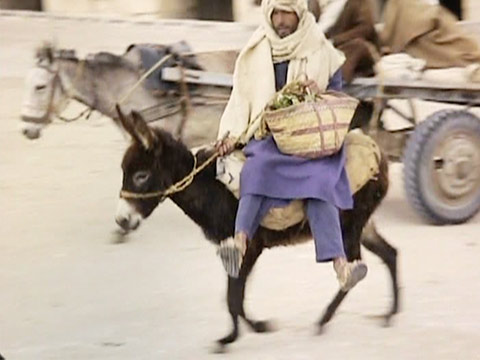 Tunisia 1967 Reel 17 of 52 thumbnail.