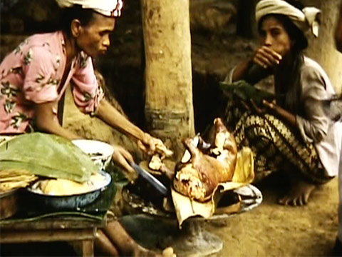 Bali 1955 Reel 3 of 24 thumbnail.