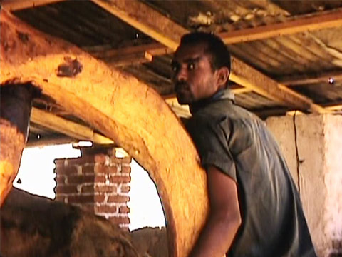 Ethiopia 1969 Reel 11 of 65 thumbnail.