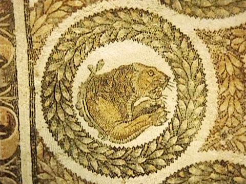 Tunisia 1967 Reel 33 of 52 thumbnail.