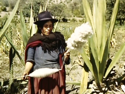 Ecuador 1949 Reel 6 of 10 thumbnail.