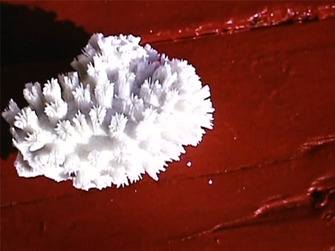 Australia 1961 Reel 42 of 46 thumbnail.