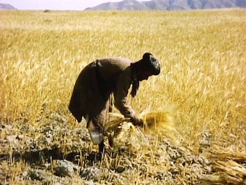Afghanistan 1965 Reel 36 of 40 thumbnail.