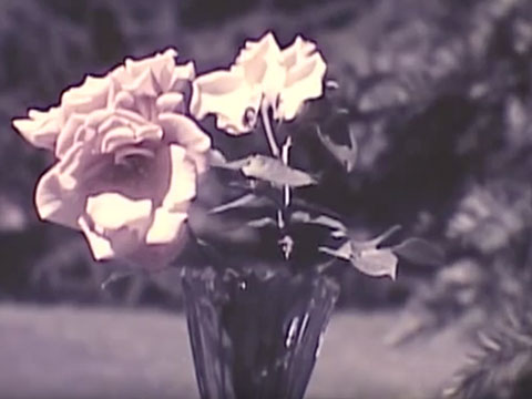 Philadelphia Gardens thumbnail.