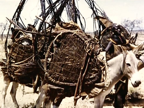 East Africa 1961 Reel 17 of 46 thumbnail.