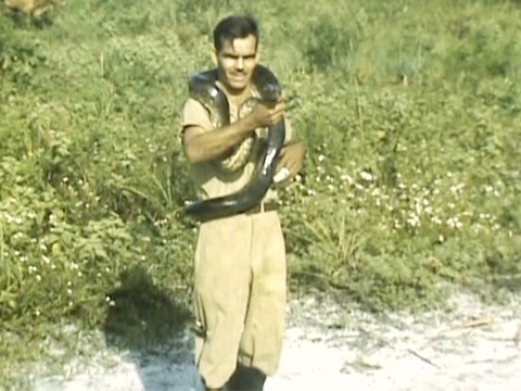 British Guiana 1948 Reel 3 of 8 thumbnail.