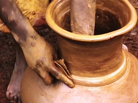Ethiopia 1969 Reel 31 of 65 thumbnail.
