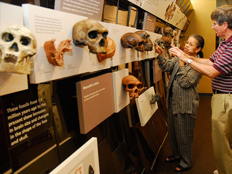 Did Neanderthals Bury Their Dead? thumbnail.