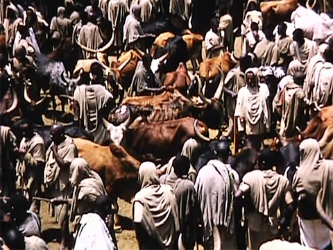 Ethiopia 1969 Reel 4 of 65 thumbnail.