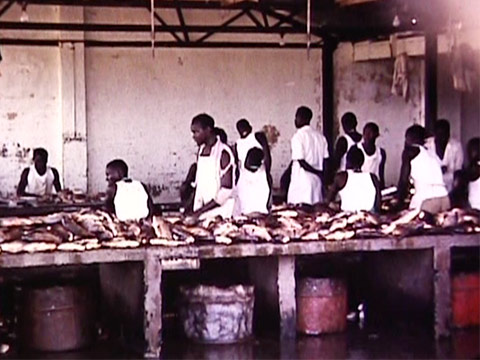 East Africa 1961 Reel 32 of 46 thumbnail.