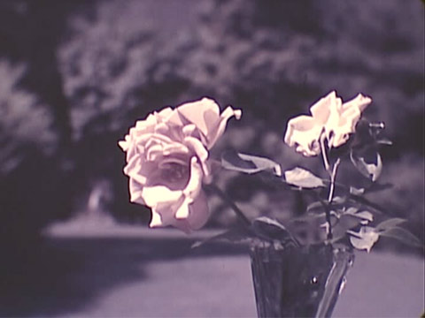 Philadelphia Gardens, 1940 thumbnail.