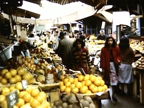 Peru 1950, Reel 1 of 9 thumbnail.